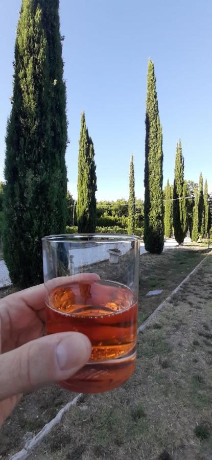 B&B Agriturismo Regno Di Toscana コッレサルヴェッティ エクステリア 写真