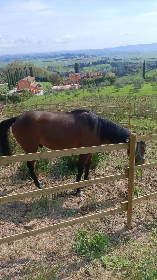 B&B Agriturismo Regno Di Toscana コッレサルヴェッティ エクステリア 写真